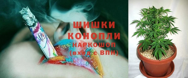 крисы Верея