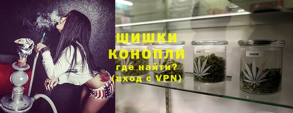 эйфоретик Бородино