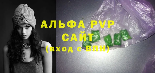 эйфоретик Бородино