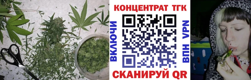 Купить где  Мегион  Дистиллят ТГК Wax 