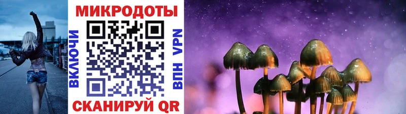 Галлюциногенные грибы Psilocybe  Купить  Мегион 